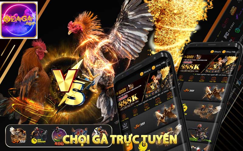 Chọi gà trực tuyến tại DAGA